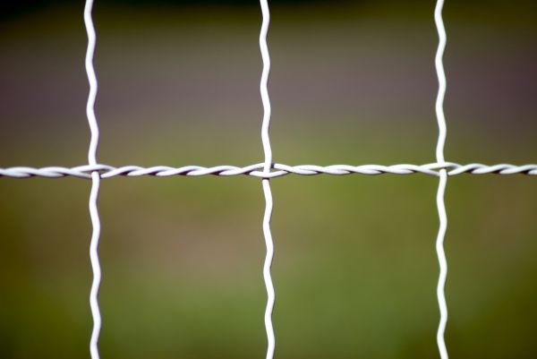 Woven Wire Fence Repair